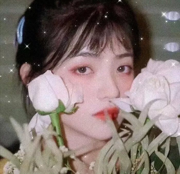 公主大对换：浪漫之星