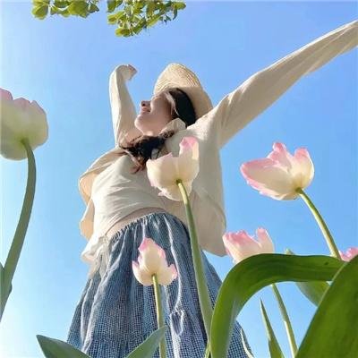 蜜月计划