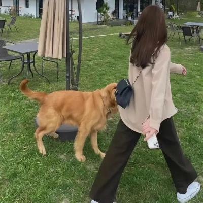 家有艳妻